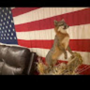 Meet your Posher, Greg